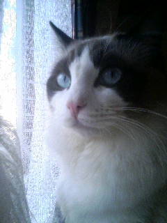 070105_093631.jpg